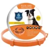 Orange Dog 62cm
