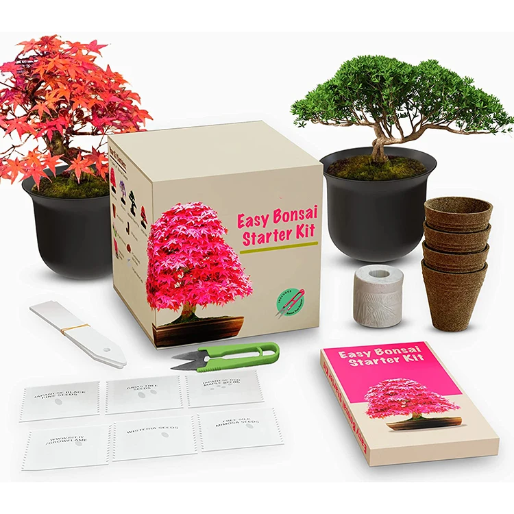 Bonsai Tree Seed Starter Kit - Complete Growing Kit - Grow 4 Bonsai Tree  Live Indoor Plant from Seed - Adult Crafts - Grow Your Own Live Plant -  Great