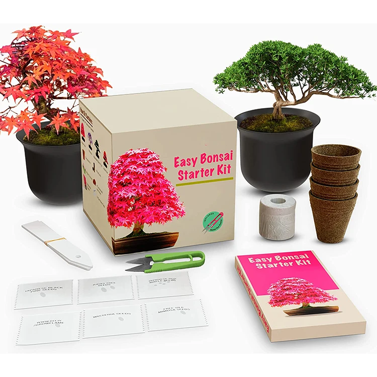 bonsai tree food Organic Bonsai Food  The Grow Co