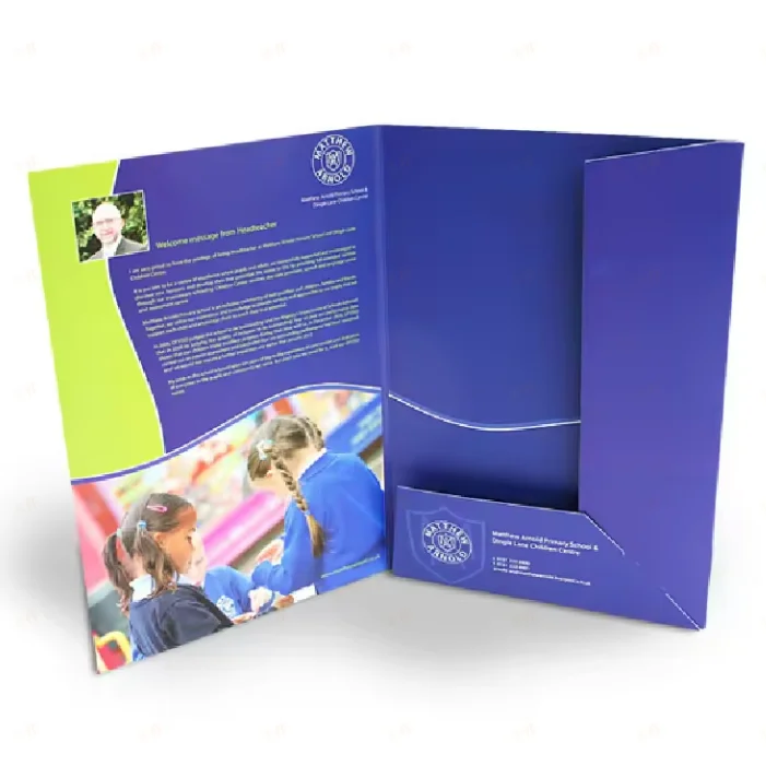 Custom Printed Multi-pocket File Folder Cardboard Paper Presentation File Folder for Documents
