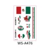 Bandiera messicana ws-a476-12076mm