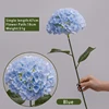 9/Noventa hortensias/azul