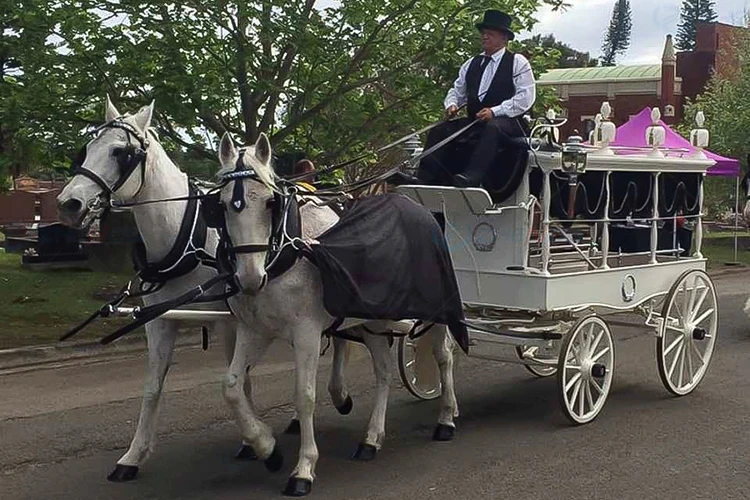 Horse Drawn Funeral Hearse/Carriage Silver Glass Covered Coffin Horse Carriage Victorian Silver Funeral Horse Drawn Carriage