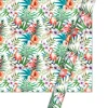 5-Flamant rose