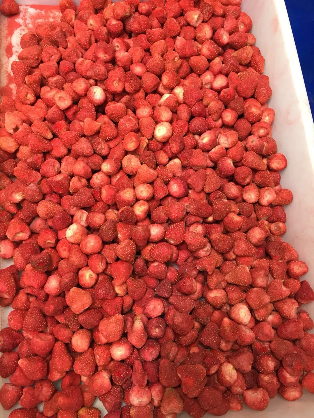 Wholesale Fresh Frozen Strawberry IQF Frozen Strawberry Price