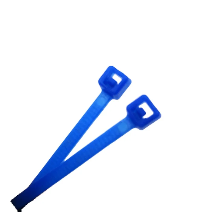 2.5*100 ETFE High temperature chemical resistance blue ETFE/cable tie