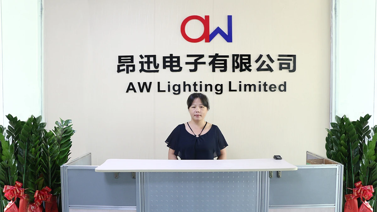 AW LIGHTING LIMITED 3