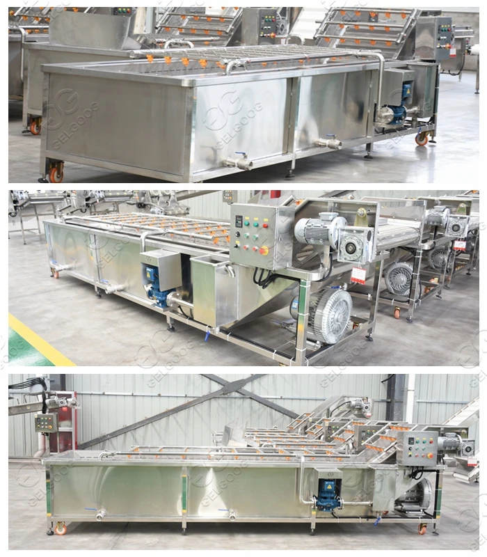 Commercial Avocado Fruit Cleaning Drying Sorting Waxing Processing Line Fresh Fruit Mango Apple Cleaning Machine
