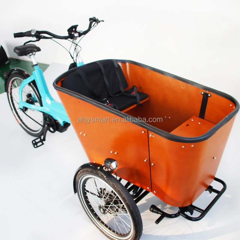 Family Trike Electric Tricycle - Cargo Bike for Sale Family Trike Electric Tricycle - Cargo Bike for Sale