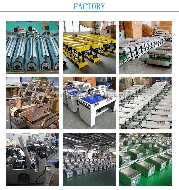 DFD40 Automatic 110V 220V Express Courier PE Roll Bags Bagging Sealing Packing Machine