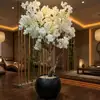 white flowers with black pots