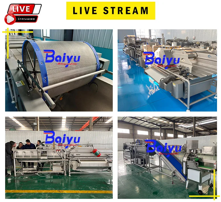 Baiyu Fruit And Vegetable Processing Equipment Banana Leaf Garlic ...