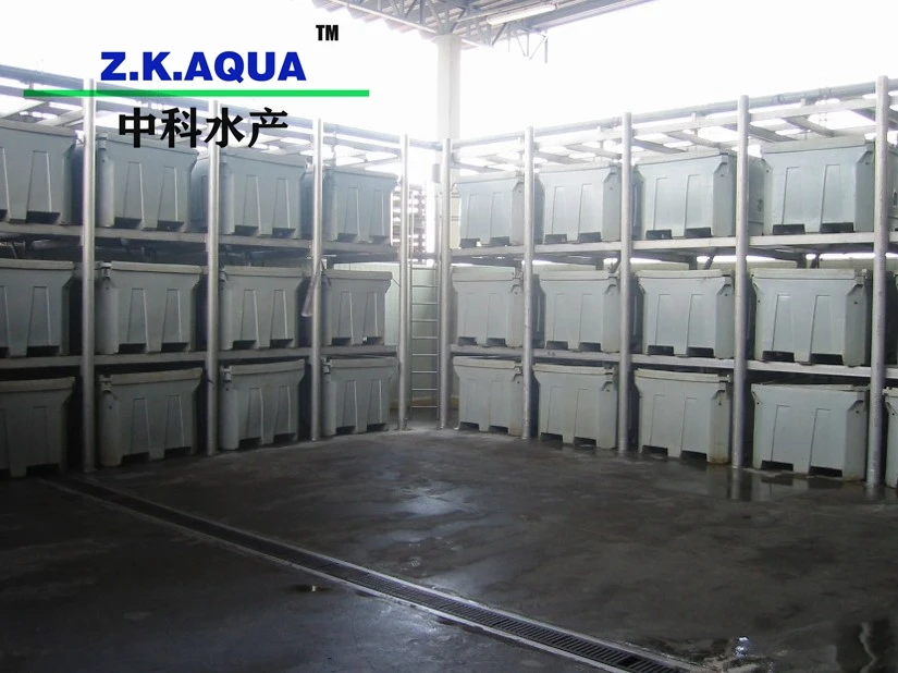 Aquaculture Live Carrier System Small Tank Cooler Boxes To Transport