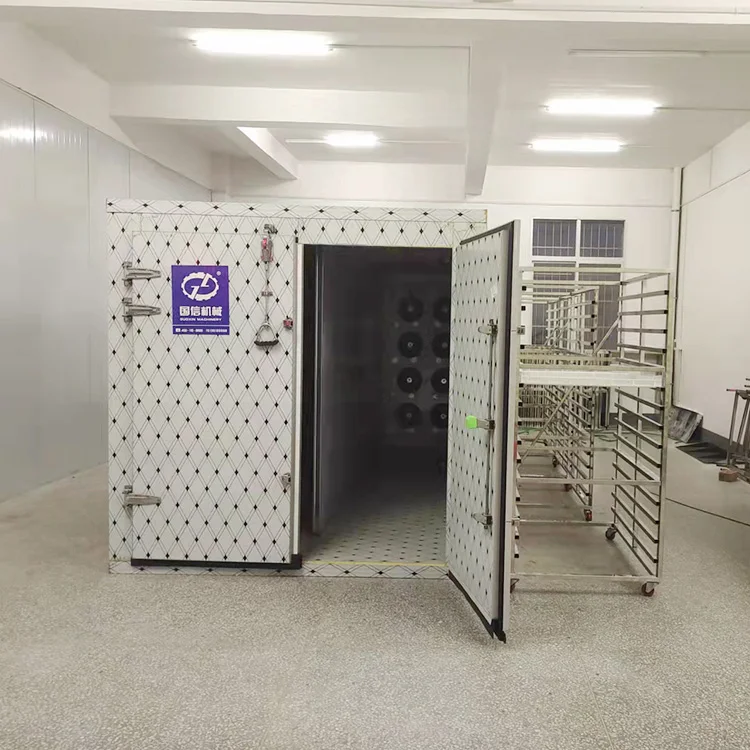 Guoxin mango Dried/coconut Coir/grape Heat Pump Dryer Food Fruit Drying Machine Fruits Drying Machine