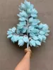 Azzurro di cielo