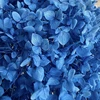 สีฟ้า