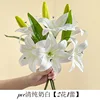 2 fleurs et 1 bouton [PVC blanc laiteux pur]
