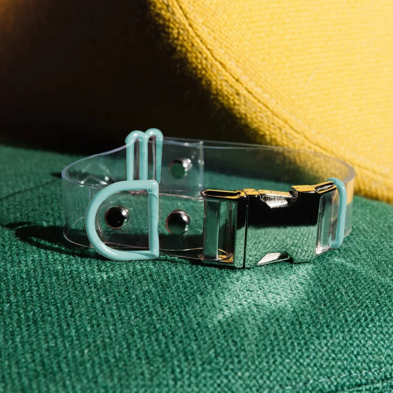 2022 New Adjustable Personalized Luxury Designer Waterproof Pvc Dog