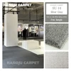 Silver Gray 14