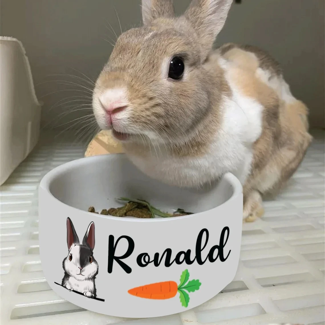Custom Name Pet Bowl Ceramic Rabbit Bowl Feeder