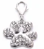 Paw-Silver