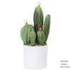Mini cactus de 26 cm, estilo B, bonsái mixto.