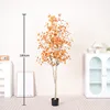 Autumn Colors Money Tree - 180cm