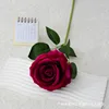 Large velvet rose purple