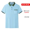 Sky blue and tea green color scheme