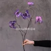 Small butterfly deep purple