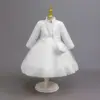 12028 bianco