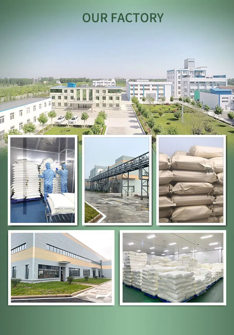 High Quality Bulk Organic Spirulina Chlorella Protein Powder Spirulina