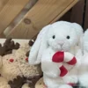 Rabbit Holding Candy Cane