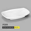 P309 (pack of 10)