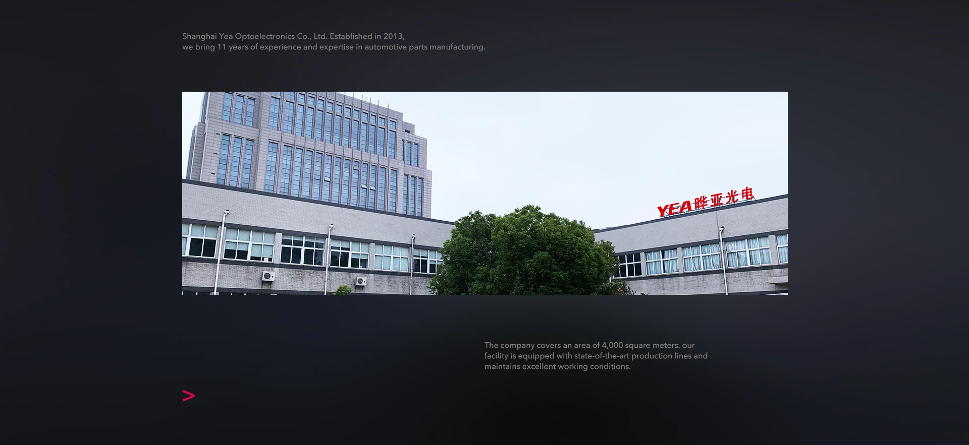 Company overview