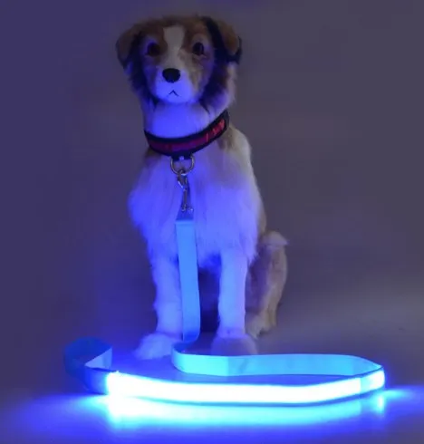 USB Rechargeable LED Light up Dog Leash With Different Colors Glow in Dark Pet Lead for Small Medium Dogs