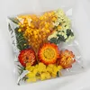 colorful-5