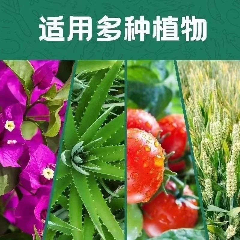 Shop KH2PO4  sulphur phosphate      ammonium  phosphate   MKP   7778-77-0-Detailed Image 4