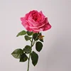 DK pink