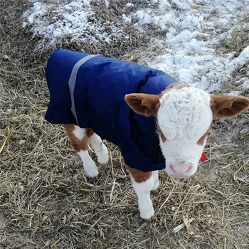 Coperta Riscaldante Per Vitelli – Gilet Riflettente Invernale Con Protezione Ventrale, Anti-graffio E Antiscivolo, Per Stalla E Pascolo
