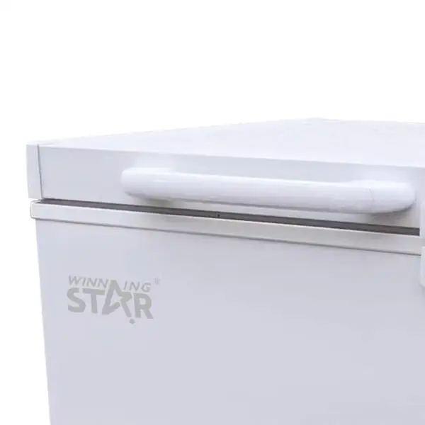 WINNING STAR Commercial Chest Deep Freezers ST-BD-258L Freezers 201L AC Refrigerators Deep Compression Freezer