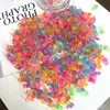 One 2.2cm transparent turtle (randomly selected)