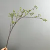 Verde chiaro