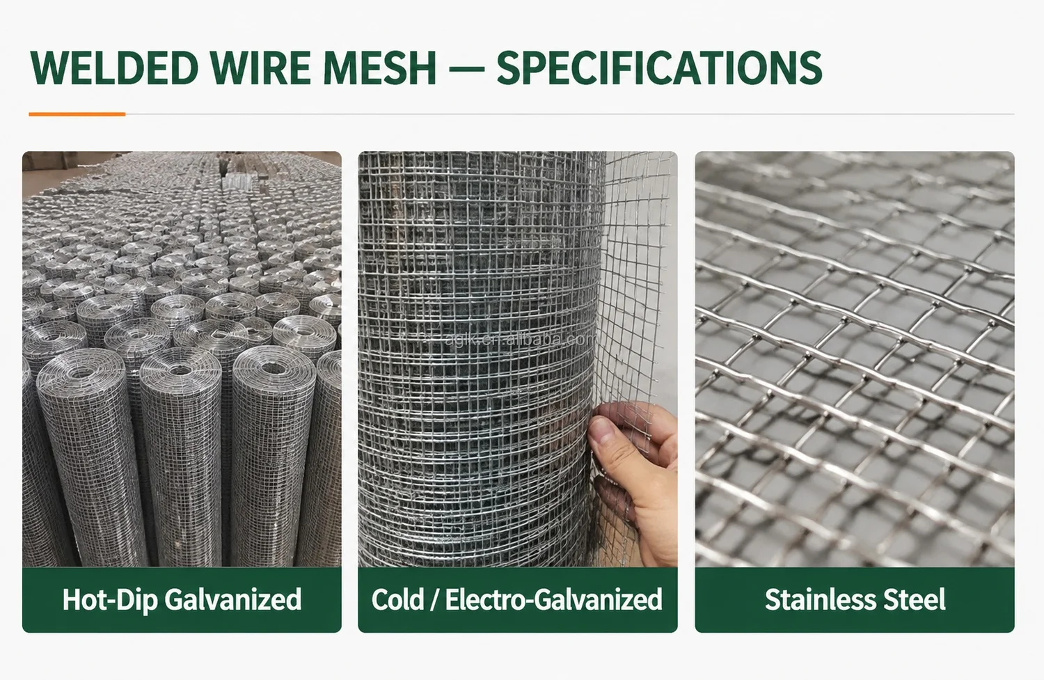 Galvanized Welded Wire Mesh Roll