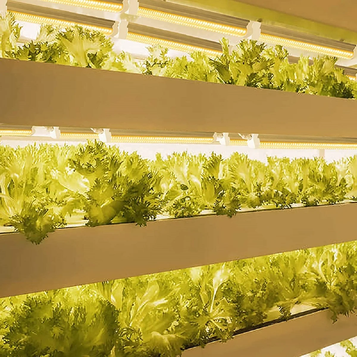 Customized T8 Led Grow Light Tube Full Spectrum Waterproof For Vertical Farm Greenhouse