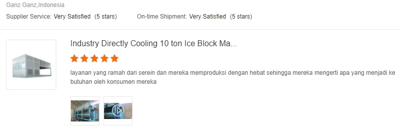 1Ton Tube Ice Machine with 500kg Ice Storage 4.6KW Industrial R404a/R22 Ice Tube Maker