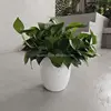 mix