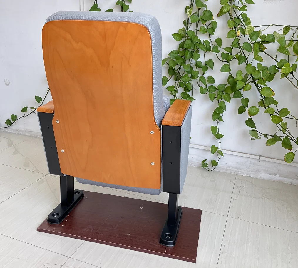 Theatre Poltrona Auditorium Theatre Poltroncine Teatro Rows Of Red