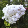 Petalo bianco a 2 strati