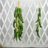 Green long pepper